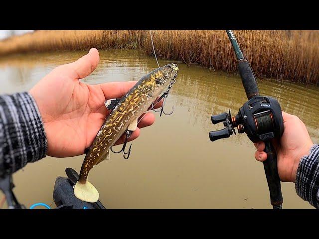 Catching BIG Pike from a Tiny Drain! (new PB!)