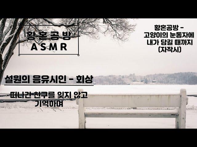 [메이플 ASMR] 떠나간 친구를 기억하며 | 메이플스토리 설원의 음유시인 BGM | 자작시 포함 | MapleStory Nowhere - Dimension Library