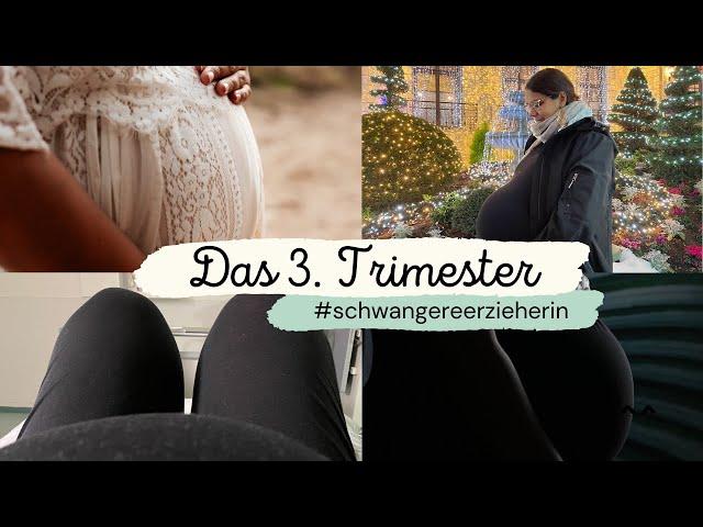 3. Trimester mit Zwillingen! - und dann ist es vorbei... | #schwangereerzieherin | Mamiwölkchen