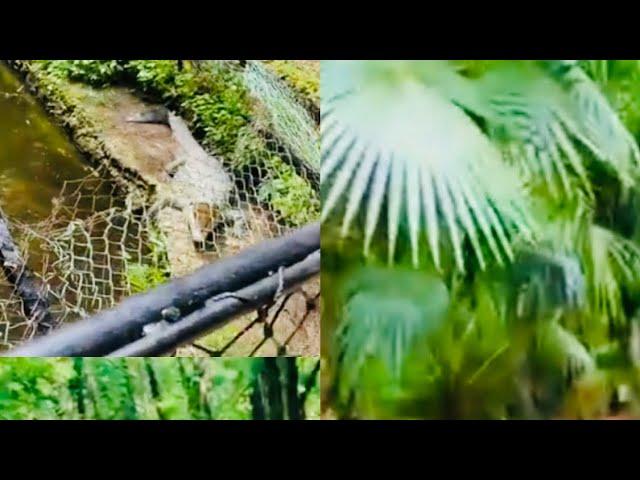 Vlog 𝐐𝐮𝐫𝐮𝐱 BADAAN  HALLER  PARK Mambasa / KENYA Muqalka XAQIIYSA SIIYA WALAL please subscribe