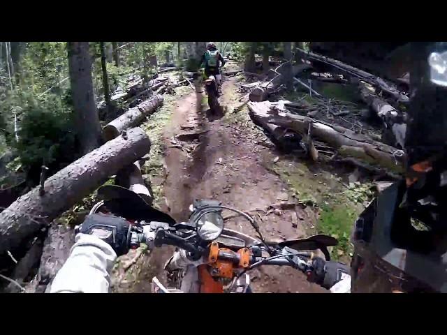 Colorado Single Track with rear view footage: Jones Creek - Dutch Creek - Hermosa Creek - Flagstaff