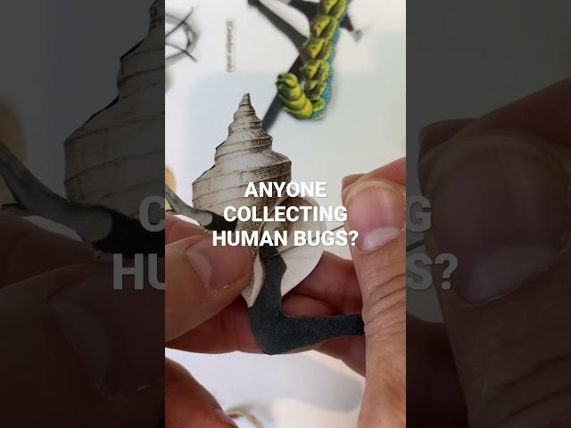 Anyone Collecting Human Bugs? Check out this cool collage art Idea 🪰. www.riikkafransila.com