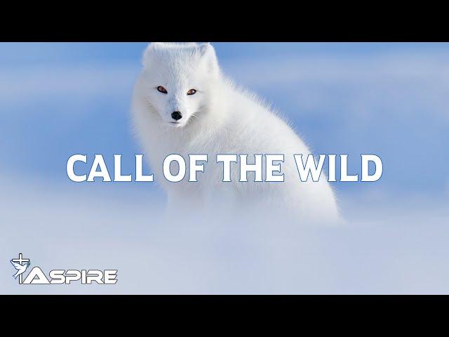 The Color - Call of the Wild [Lyric Video]