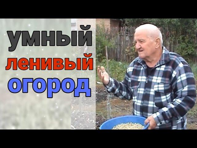 Он учил людей не копать и не работать на огороде. Человек, который имел самодостаточный огород R