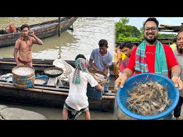 সকাল ৬ টায় তলতলী নদীর জ্যান্ত শলা চিংড়ি কিনে ফেললাম 