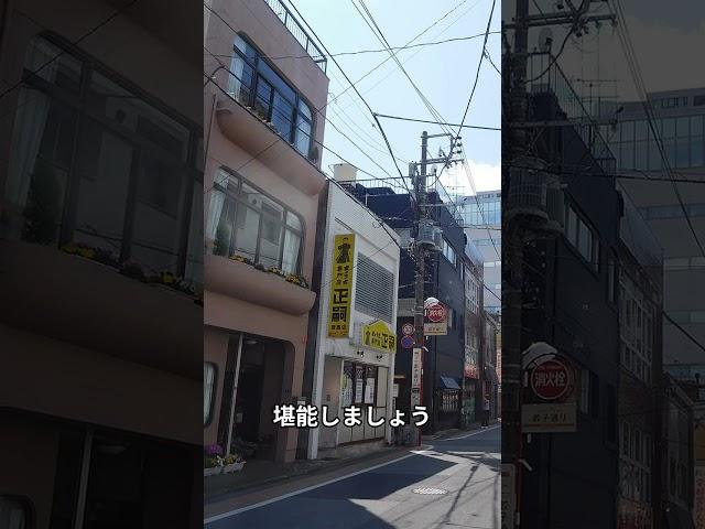 【旅行】宇都宮市１日観光プラン！（栃木県） #餃子 #大谷資料館 #みんみん #宇都宮タワー #餃子通り