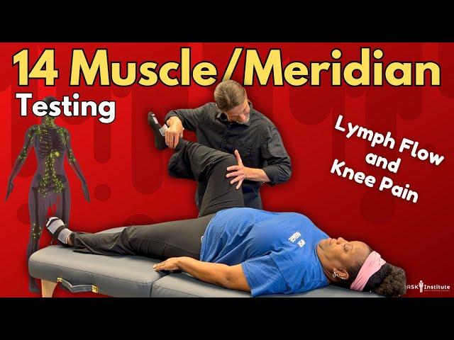 MUSCLE/MERIDIAN TESTING for Knee Pain