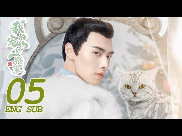 ENG SUB [Be My Cat] EP05 | Fantasy Romance | Kevin Xiao,Tian Xi Wei