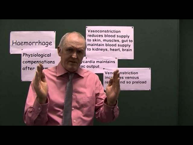 Hemorrhage 11, Physiological compensations after haemorrhage