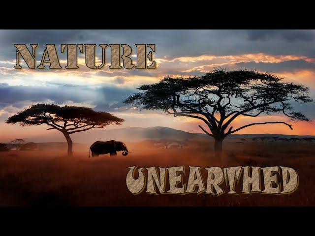 Nature Unearthed - An Exciting New Nature Series Coming Soon to QVTV