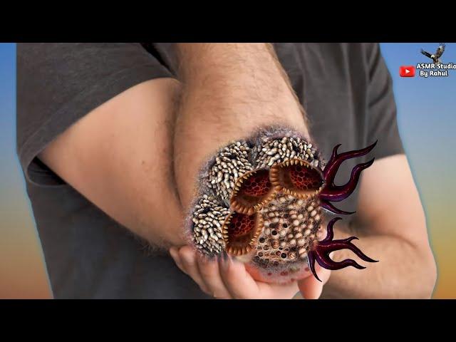 ASMR Remove Trypophobia Maggot infected  from Hand | ASMR Animation treatment | Cleaning Animation