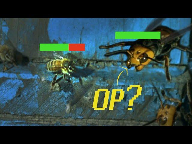 How Ants and Bees Broke the Game