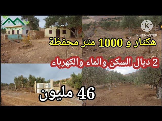 هكتار أو 1000 م محفظ تيتر فونصي بهآ  180 زيتونة وبعض الاشجار المخطلطة ضواحي جماعة المصدر الخميسات