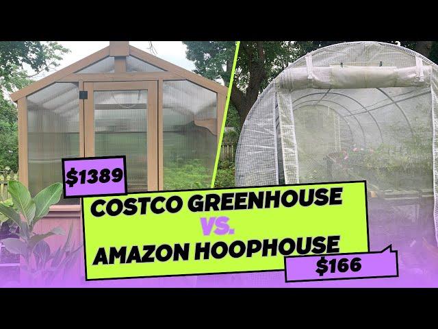 Costco Greenhouse vs Amazon Hoop House: Which is Better?