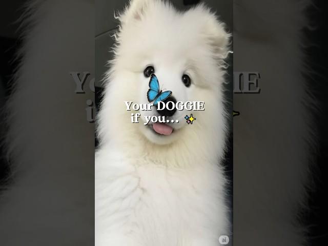 Your DOGGIE!  #DogLovers #Pawfect #DogLife