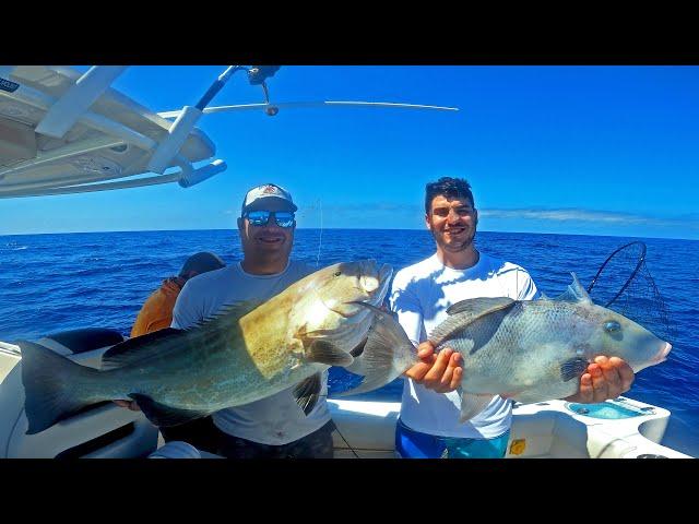 DOZENS OF GIANT FISH ON A SUNKEN U-BOAT WRECK!! NONSTOP ACTION *CATCH, CLEAN & COOK*