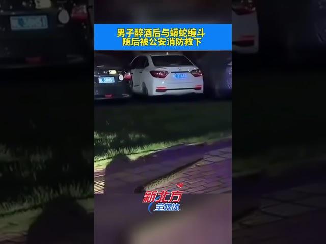 男子醉酒後與蟒蛇纏鬥 ，隨後被公安消防救下 #酒後百態 #新聞 #真實事件 #shorts