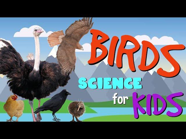 Birds | Science for Kids