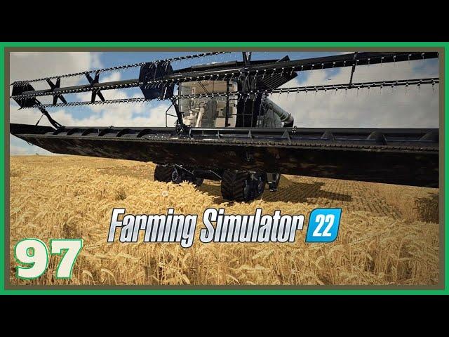 The First Full Harvest Season with the Massey Ideal | Start From Scratch (no mods) | Zielonka | FS22