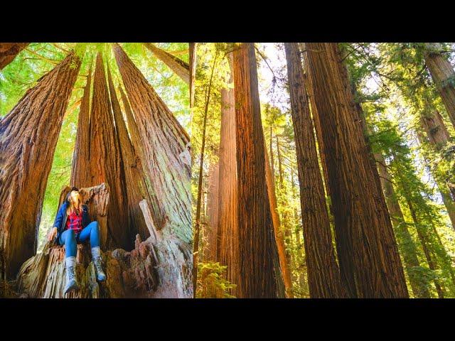 48 Hours in the LOST COAST of CALIFORNIA - Humboldt County