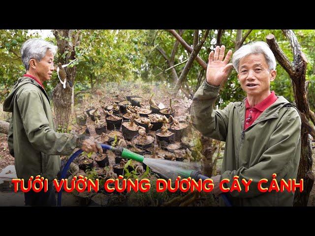 Tưới vườn cùng mình I Dương Cây Cảnh