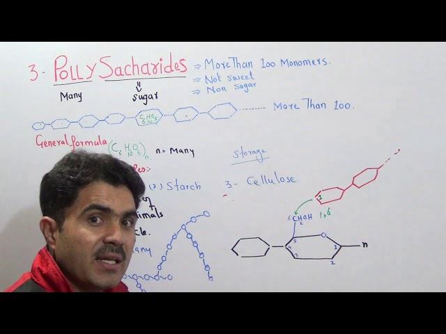 Polysaccharides, Glycogen, Starch, Cellulose and Iodine test