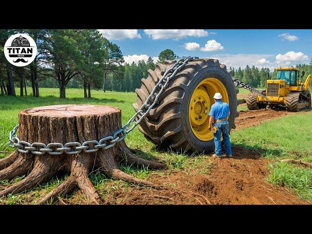 Extreme Dangerous Monster Stump Removal Excavator | Amazing Fastest Wood Chipper Machines #1