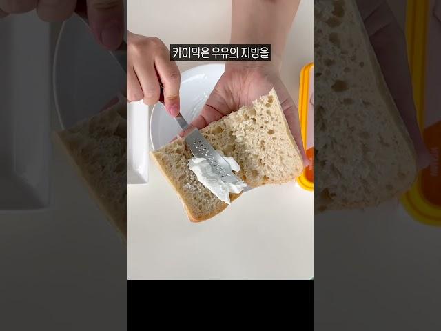 코스트코 가면 꼭 사야할 신상! 카이막치즈!아돼삼TV-코코리뷰 NO.1채널