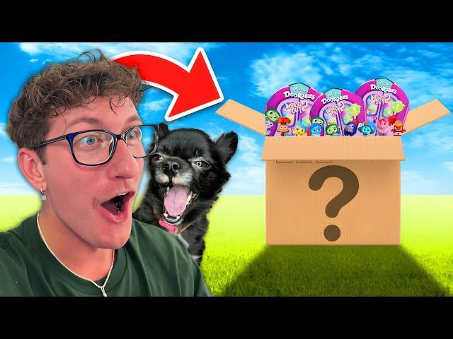 PUDDIN GOT ME A INSIDE OUT 2 MYSTERY BOX!!