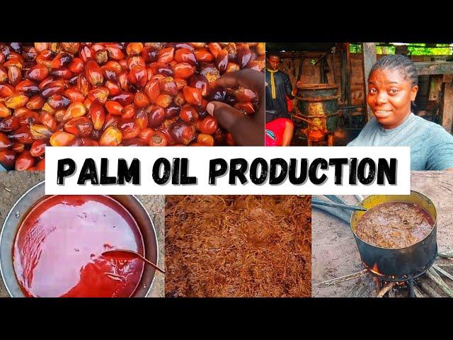 Step by Step of PALM OIL PRODUCTION PROCESSES||How to produce Palm oil at HOME||Gracious Tales