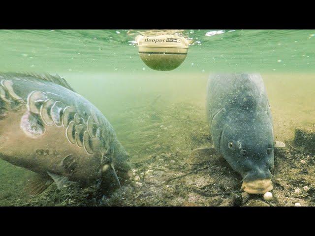 Underwater Fishing and Using Sonar to Catch More Carp (Deeper)