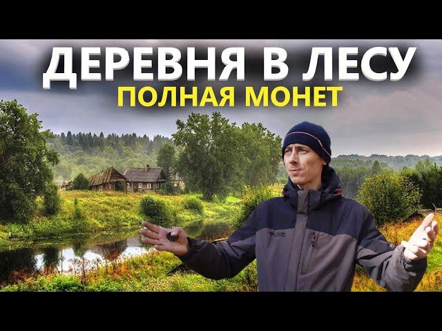 Кладоискатель вынес более 300 монет с деревни в лесу за 3 года. Коп поиск монет 2024