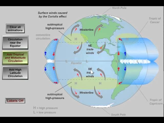 Global Atmospheric Circulation