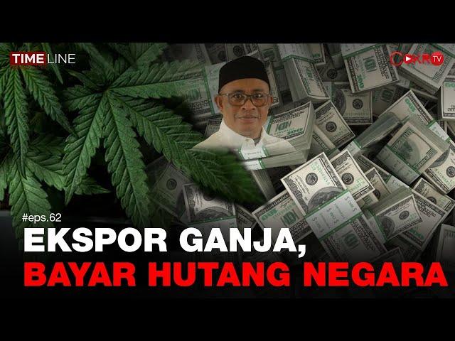 Denny Siregar: EKSPOR GANJA, BAYAR HUTANG NEGARA