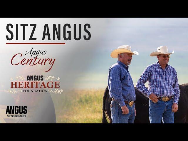 Sitz Angus | Angus Heritage Foundation and Angus Century (2024)