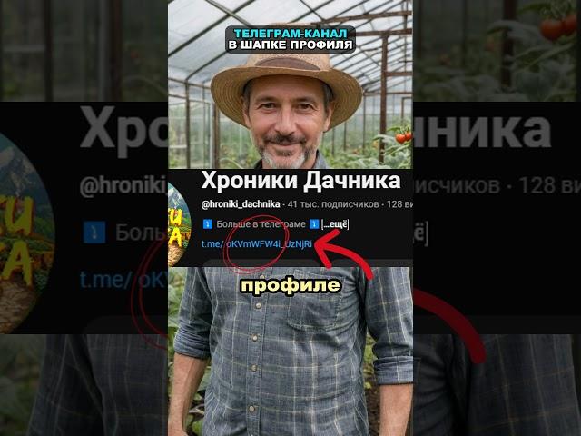 Простой раствор от всех вредителей #огород #сад #дача #вредители