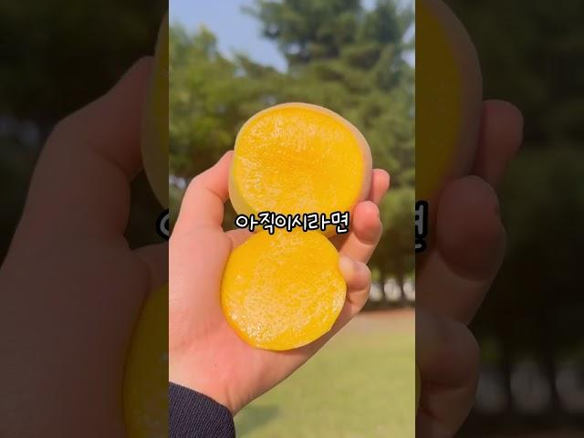 백도, 황도복숭아철이 곧 끝나가요!!