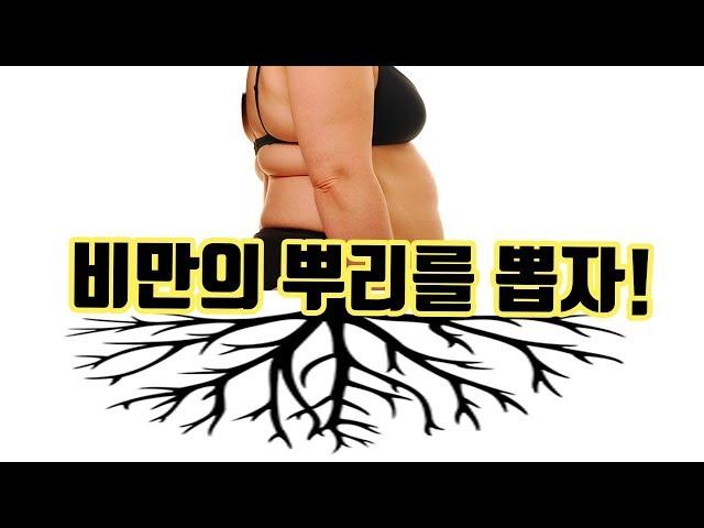 인슐린저항성 쉽게 이해하기 | 비만과 당뇨로부터 자유로워지려면 꼭 봐야하는 영상.