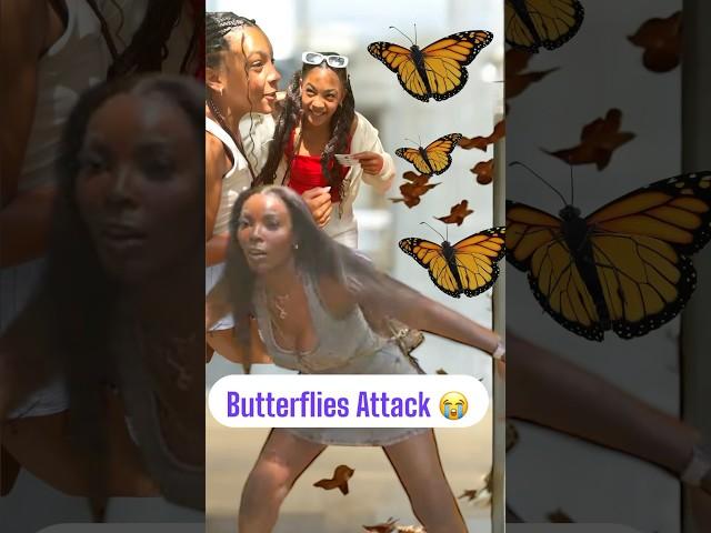 We Were Attacked By Butterflies 