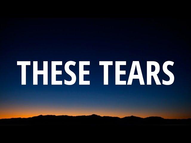 Andy Grammer - These Tears (Lyrics)