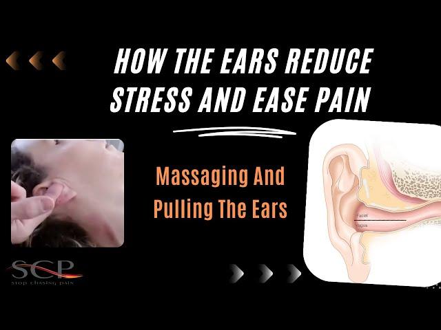 How The Ears Reduce Stress And Ease Pain