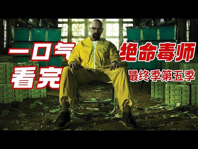 一口气看完《绝命毒师》第五季，世纪神剧大结局，老粉看哭，路人看懵，再见了老白