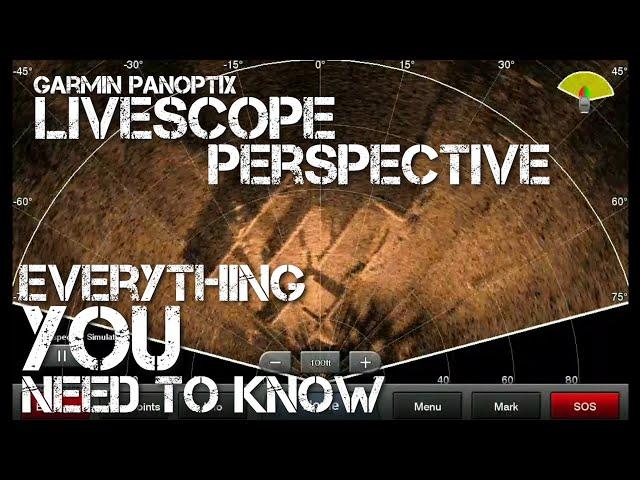 LiveScope Perspective - Everything You Need to Know