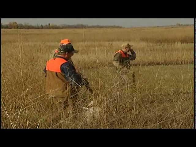 Preview of Pheasant hunting in South Dakota by Sunrise productions