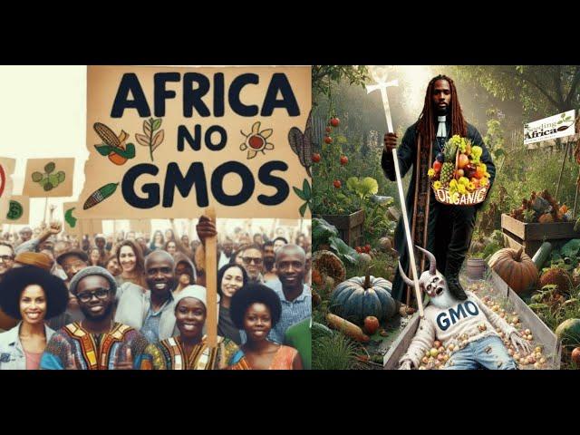 Seeding Africa Launches a New Religion On an Organic Farming Bible