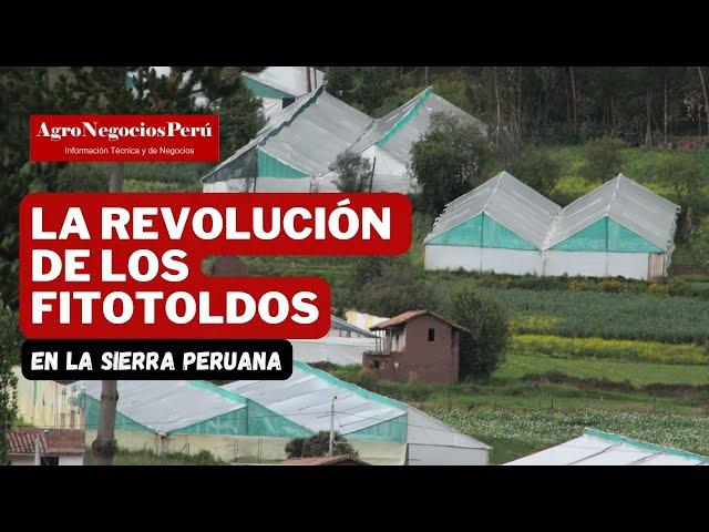 La revolución de los fitotoldos en la sierra peruana