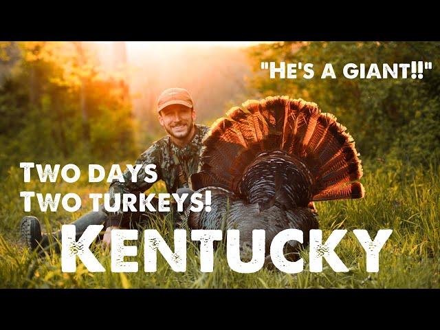 My BIGGEST turkey EVER!! (2 hunt episode)