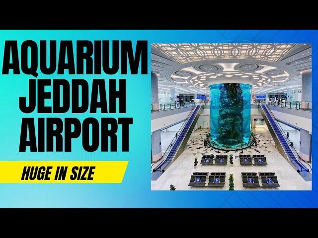 Huge Aquarium at Jeddah Airport Saudi Arabia | Worlds largest airport aquarium