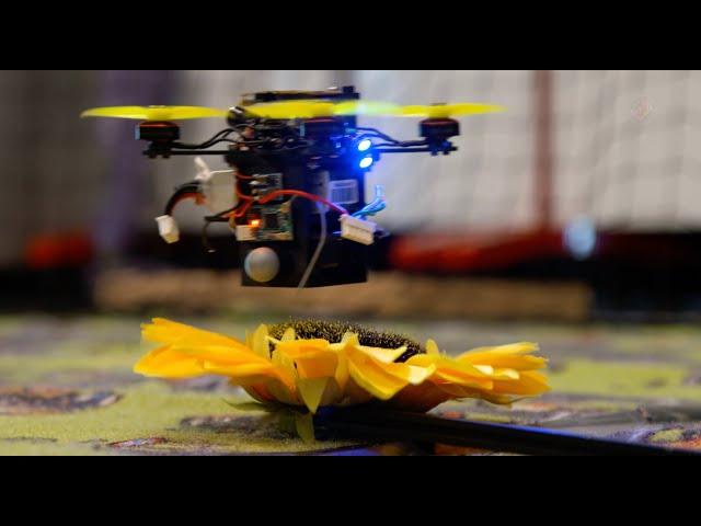 A Hive of Discoveries with University of Maryland Professor Yiannis Aloimonos