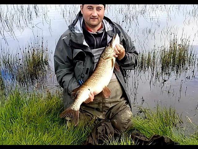 Pike Fishing Scotland ( BIG Perch and Pike )